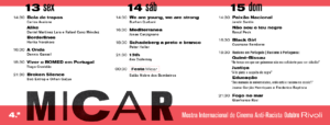 programa micar