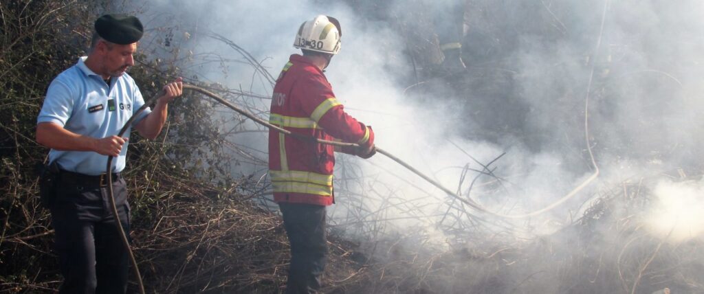 Incêndio em Frazão colocou habitações em perigo 10 IMG 9250 1 e1507397368990