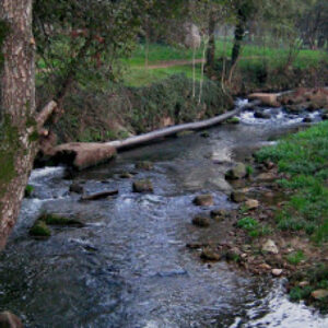 ETAR Arreigada rio Ferreira 1