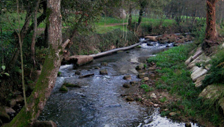 ETAR Arreigada rio Ferreira 1