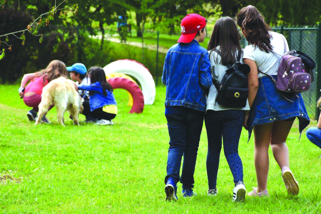 Município de Penafiel cria zona específica para canídeos no Parque da Cidade 1 DSC 2990 2 1