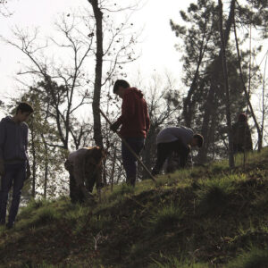Forest for Future 1