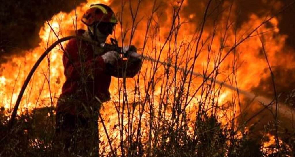Marceneiro detido por 58 incêndios florestais 1 Sem Título 1 2 1