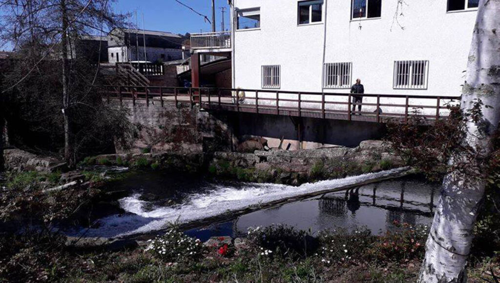 Repovoamento piscícola do Rio Ferreira 1 TrutasOnline 1