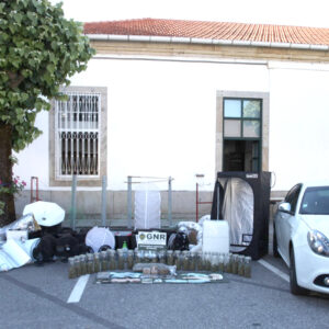 droga 1
