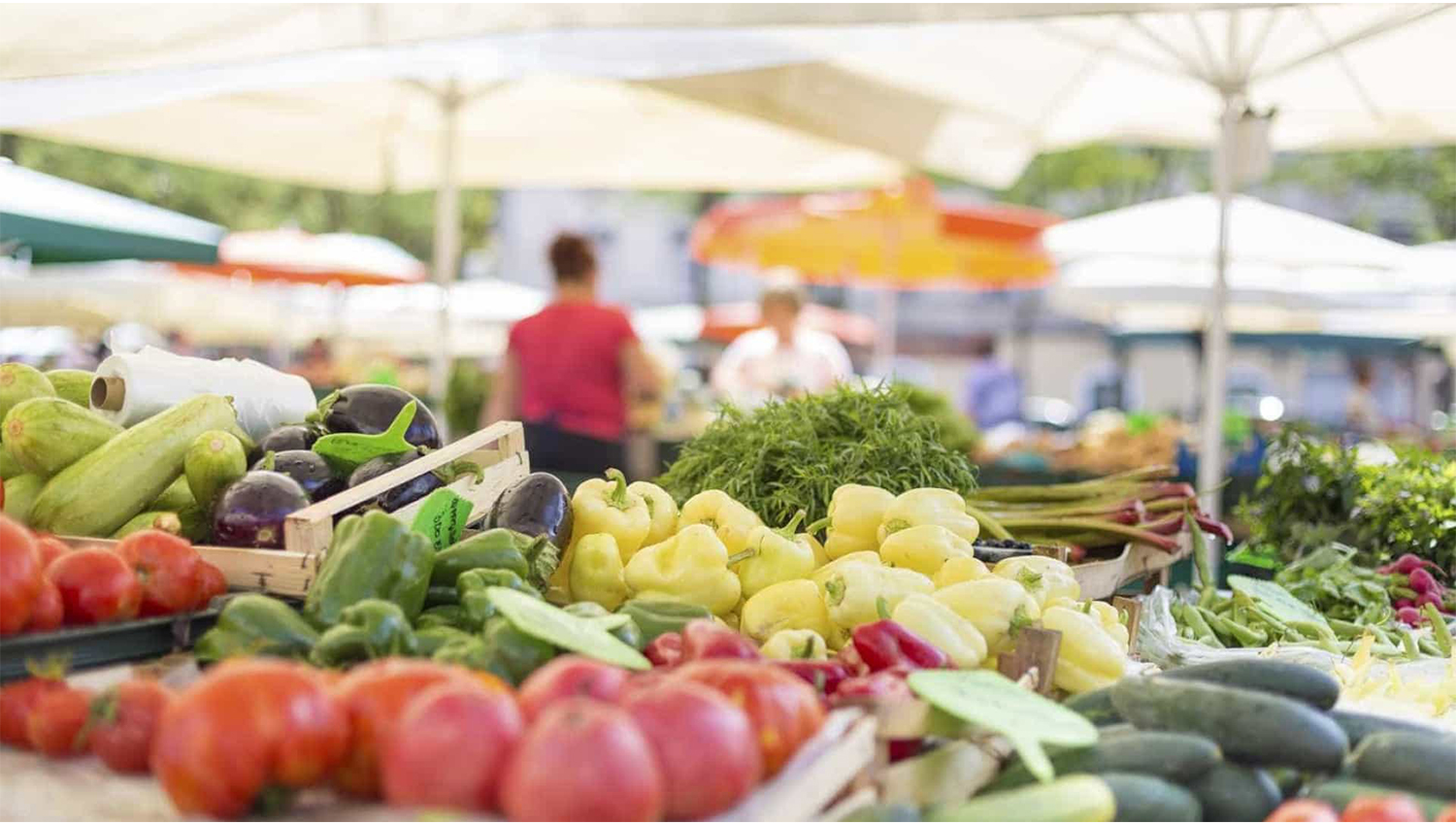 Mercados Agr colas Voltaram Este Fim De Semana A Pa os De Ferreira Mercados Agr colas Voltaram Este Fim De Semana A Pa os De Ferreira