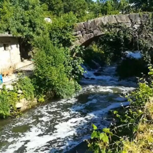 rio ferreira 1