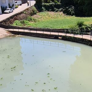 Rio Carvalhosa agua turva