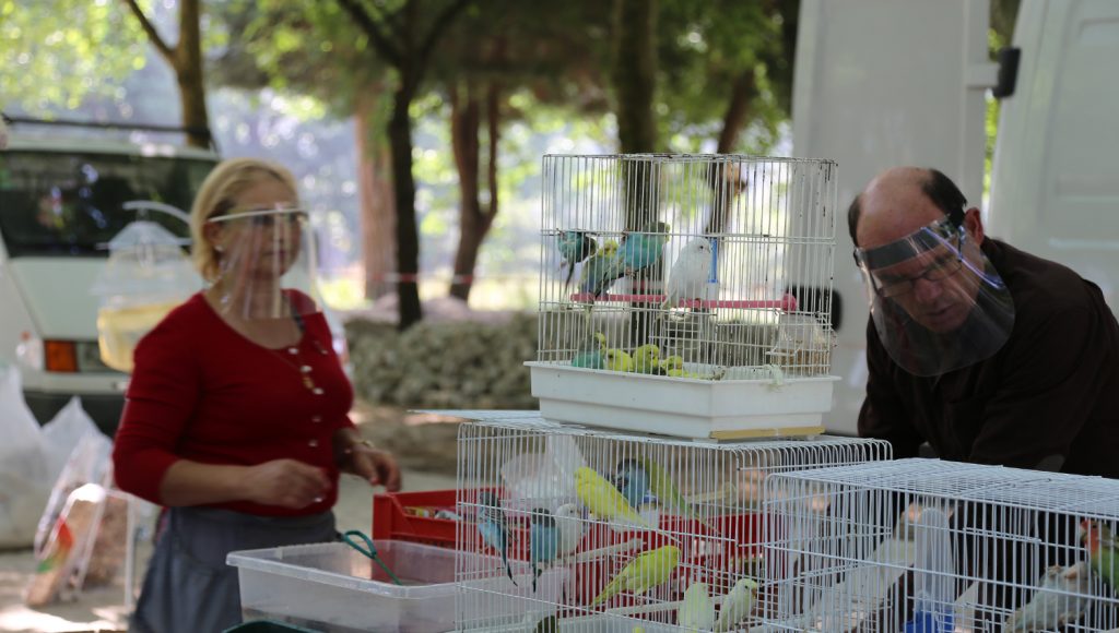 feira dos passaros 1