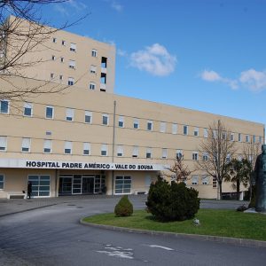 DSC 3013 1