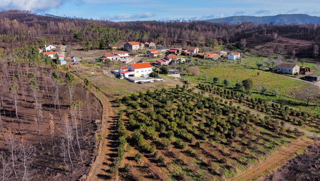 Mudar a paisagem para proteger pessoas e bens e permitir rendimento