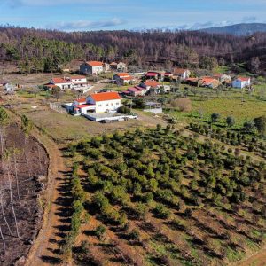 Mudar a paisagem para proteger pessoas e bens e permitir rendimento