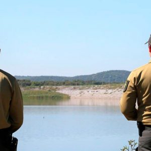 Dia Mundial da Terra: No ano passado, GNR registou mais de mil crimes ambientais