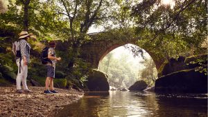 Rota do Românico participa em projeto do Turismo de Portugal