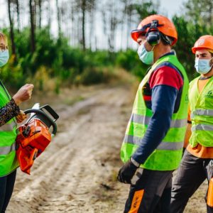 Prevenir acidentes na floresta