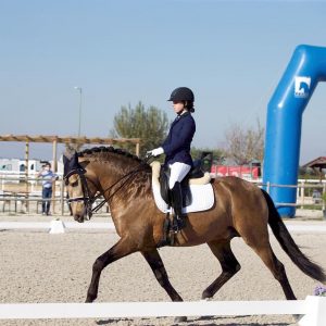 Maria Eduarda Castelo / Dressage