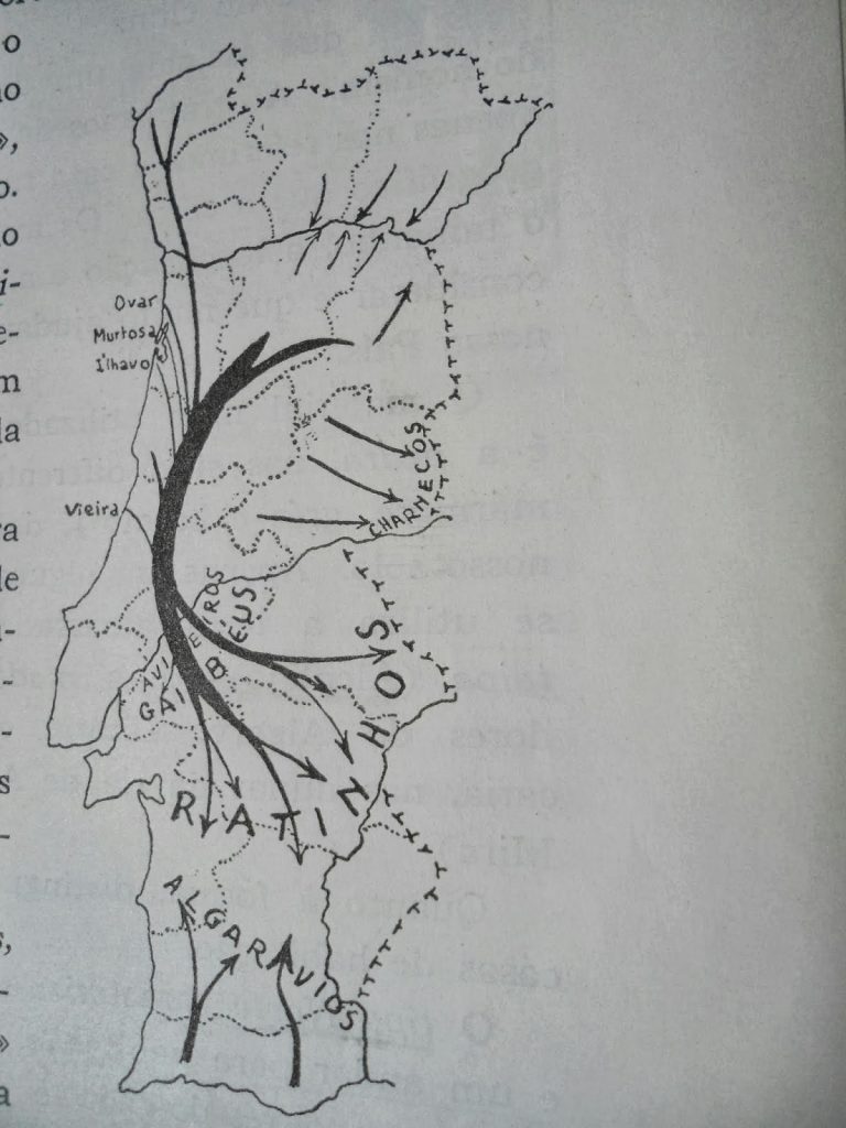 Mapa da Migracao dos Ratinhos