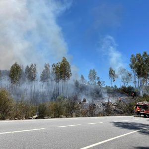 iPFR 730 ACTU Incendio Pilar 2