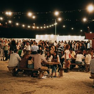 Douro Wine Festival
