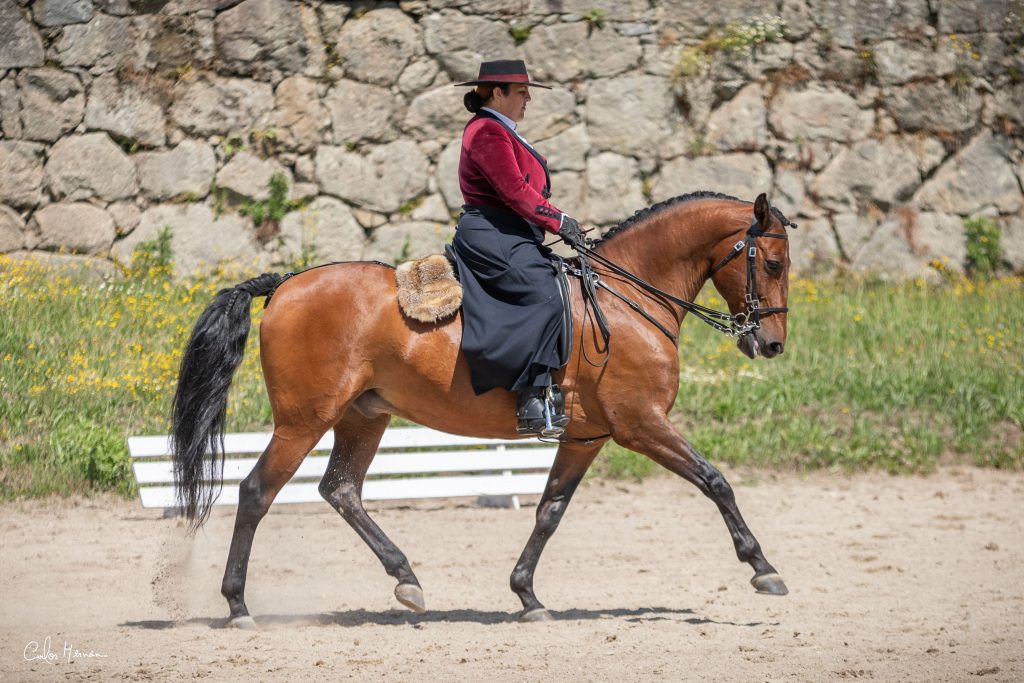 Campeã Equitação