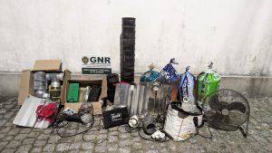 GNR Porto Apreensao 5