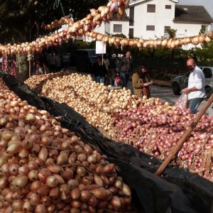 feira das cebolas