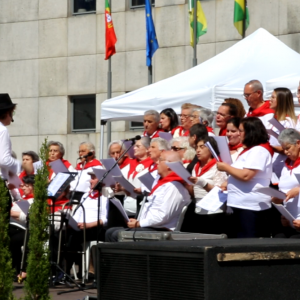 Dia Municipal Senior