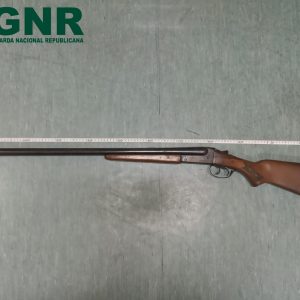 GNR Porto Apreensao 2