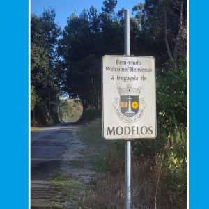 Modelos fin