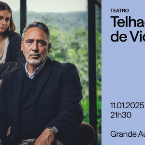 Cartaz CCP Telhados de Vidro