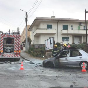 IncendioViatura
