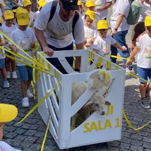 carneirinho