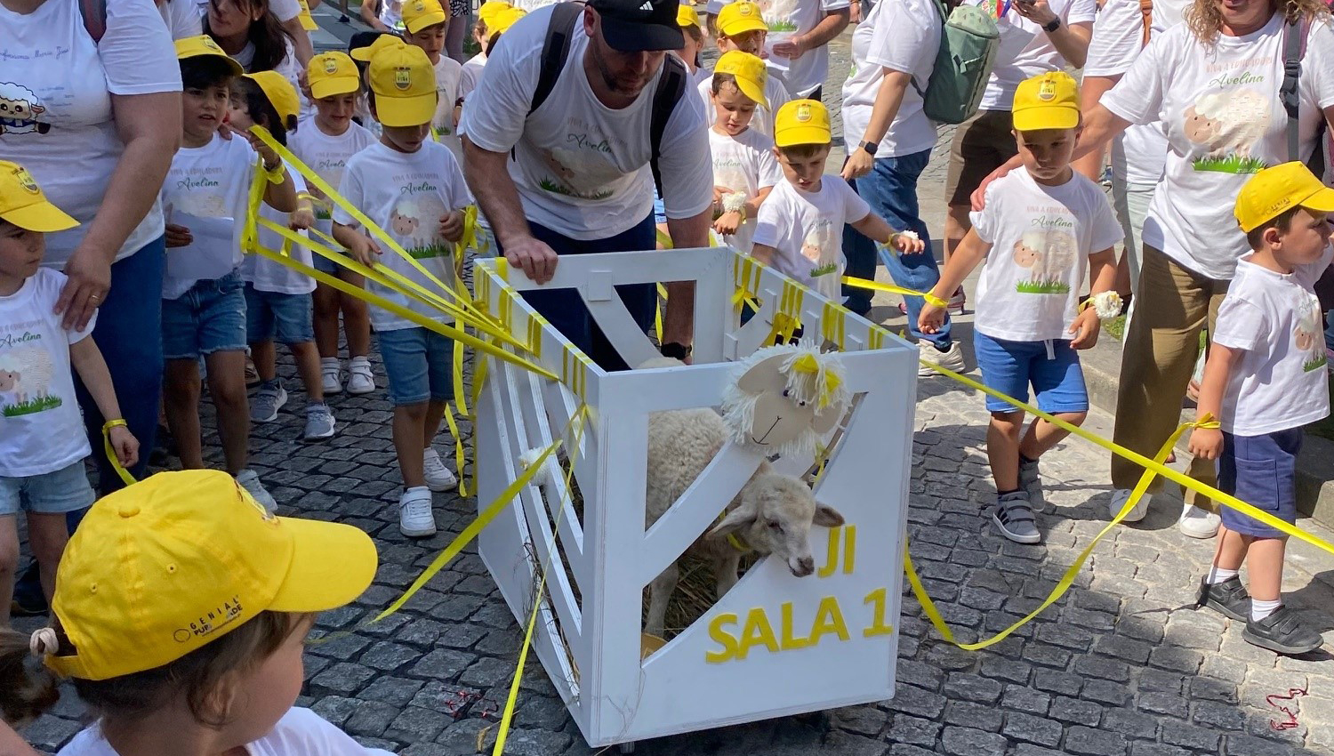 carneirinho