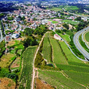 iPNF 805 ACTU Lancado concurso para construcao de nova avenida entre a rotunda de Santa Marta e Bustelo