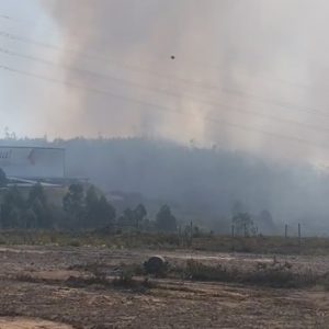 incendio 1