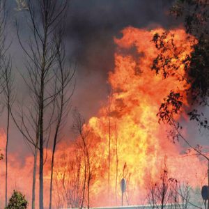 Incendio 1 1024x580 1