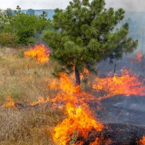 incendio 1