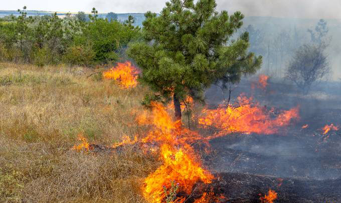incendio 1