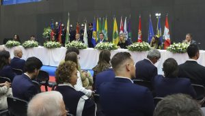 executivo paredes