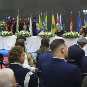 executivo paredes