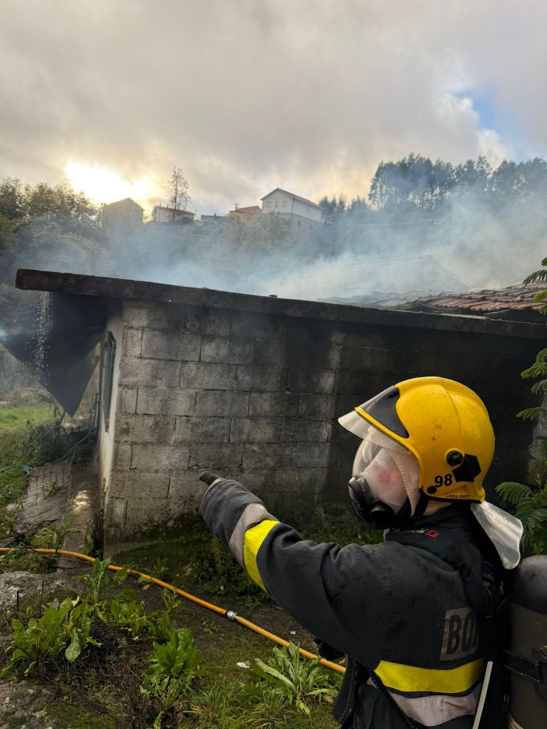 WhatsApp Image 2025 11 24 at 17.42.50