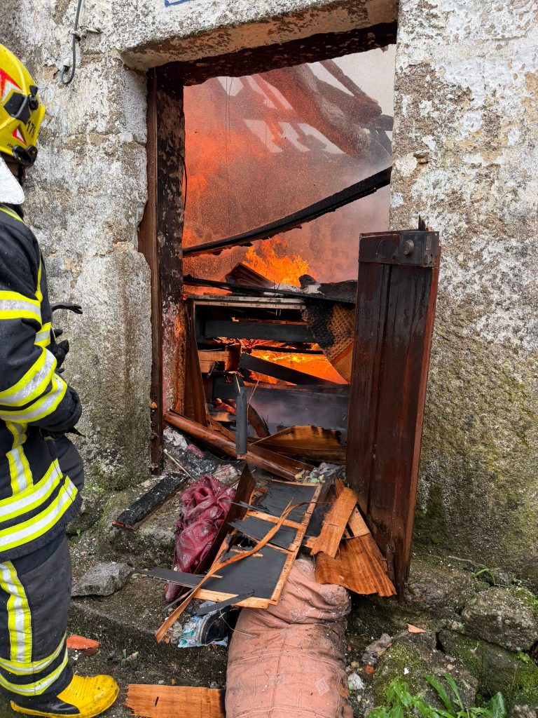 WhatsApp Image 2025 11 24 at 17.42.51 1