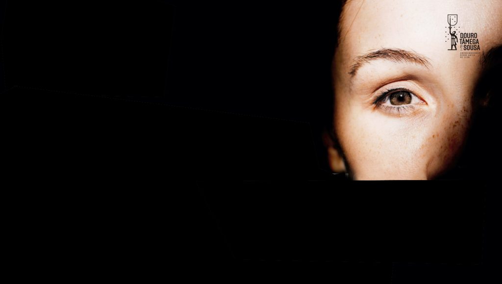 Rede Unidas da CIM-TS promove reflexão sobre violência doméstica 1 unidas