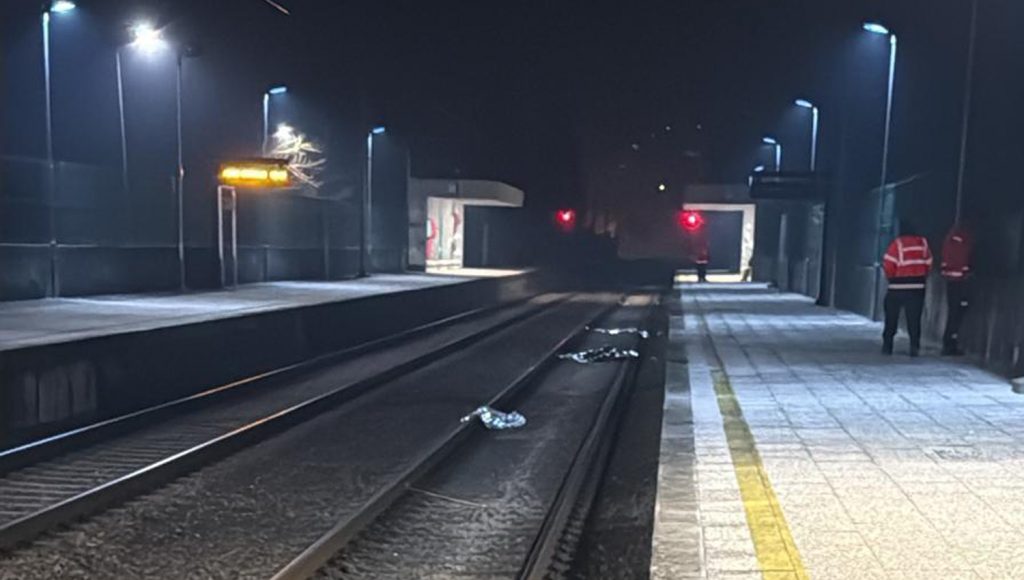 Mulher colhida mortalmente por comboio queixou-se do companheiro 1 linha do douro