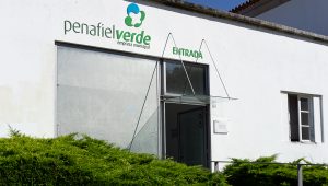 penafiel verde 1