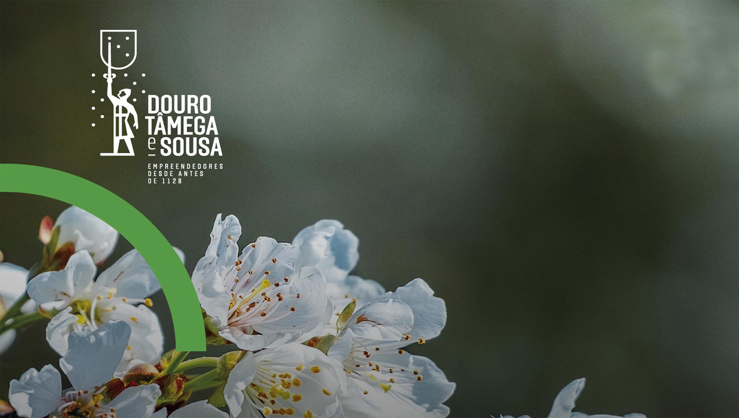 Comunidade Intermunicipal promove Jornadas de Ambiente e Energia 3 CIM1