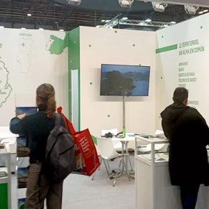 Fitur