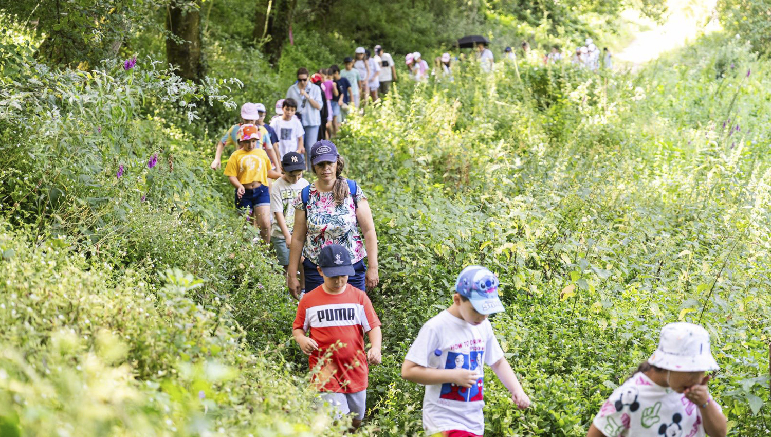 Penafiel envolveu cerca de 4 mil pessoas em ações de educação ambiental em 2025 3 ambiente