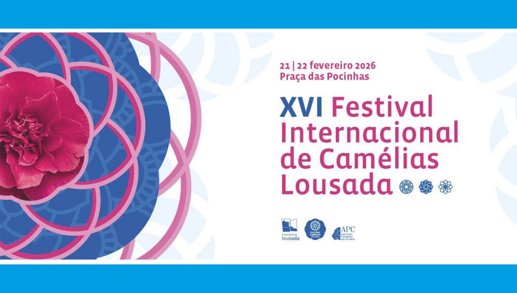 Lousada floresce: XVI Festival Internacional de Camélias arranca este sábado 1 FestivalCamelias
