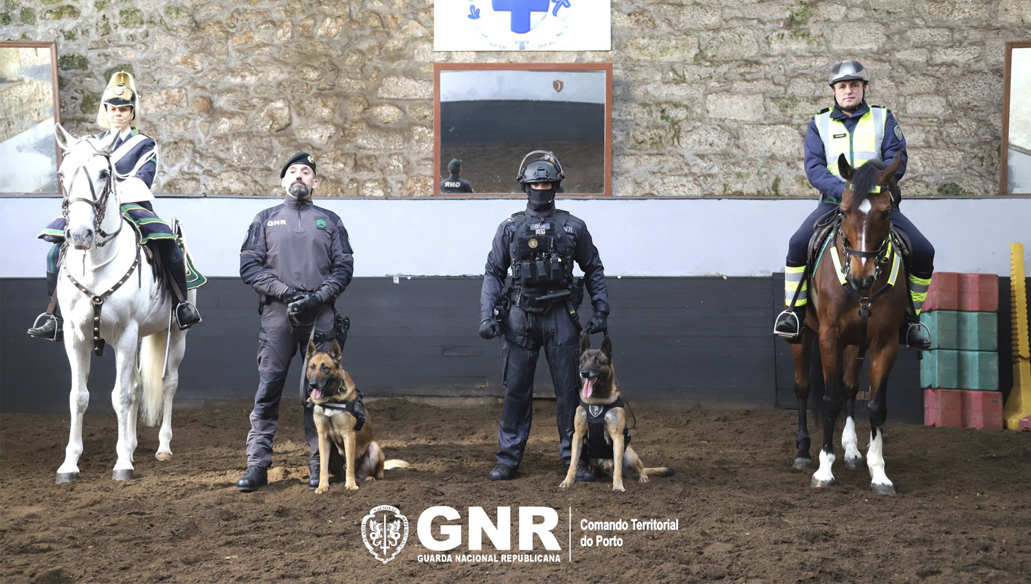 GNR do Porto assinala Dia Mundial do Animal de Estimação com apelo à responsabilidade 3 GNR